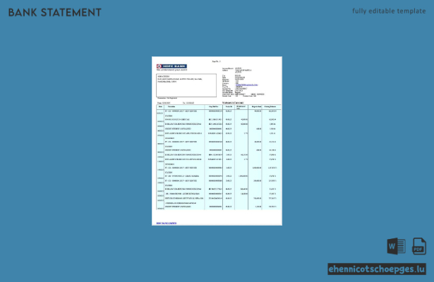Beispiel eines Kontoauszugs der HDFC Bank in Indien (Word2)